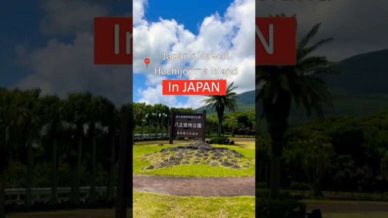 Tokyo's Hidden Pacific Island | HACHIJOJIMA Island🇯🇵Japan’s Hawaii  #shorts #Japan #Hachijojima