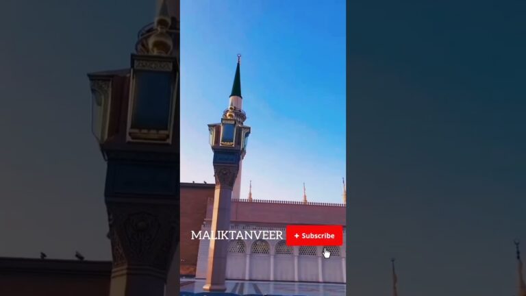 #mt #maliktanveer #live #madina #newnaat2024 #travel #live #naat #viral #trending #reel #vlog #video