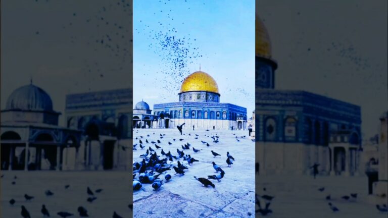 Masjid e Aqsa ko hain phir se #naat #live #islamic #motivation #trending #viral #vlog #maliktanveer