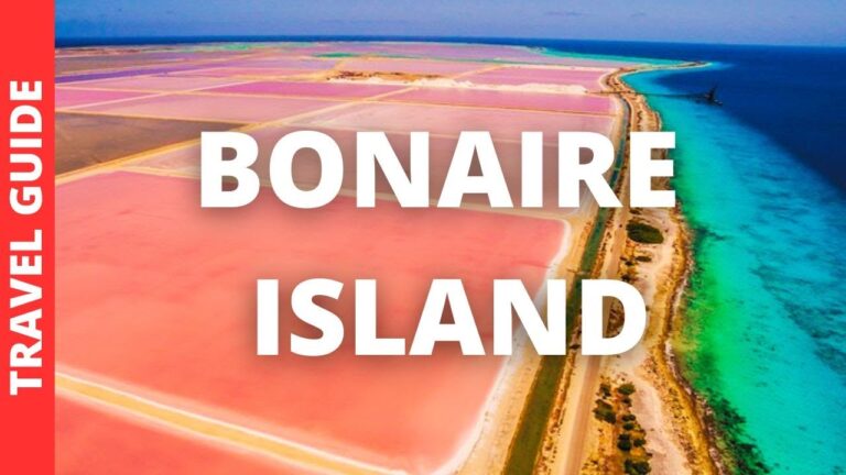 Bonaire Island Travel Guide: 14 BEST Things To Do In Bonaire Island Carribean