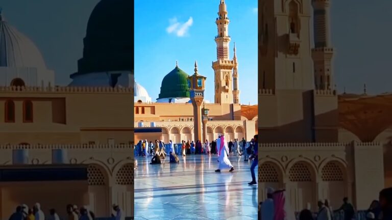 #maliktanveer #vlog 46 #live #madina #kabbah #travel #newnaat #viral #trending #reels #vlogs #videos