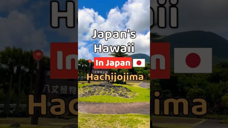 Tokyo's Hidden Pacific Island | HACHIJOJIMA Island🇯🇵Japan’s Hawaii  #shorts #Japan #hachijojima