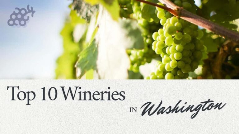 Exploring Washington's Finest Top 10 Wineries