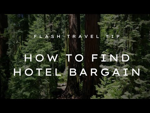 Flash Travel Tip EP2- the 7 things to get a FREE or CHEAP Hotel bargain. Guaranteed!!