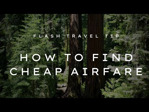 Flash Travel Tip EP1- the 7 things to get FREE or CHEAP Airfares. Guaranteed!!