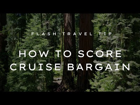 Flash Travel Tip EP3- 7 things to do to get a FREE or CHEAP Cruise bargain. Guaranteed!!