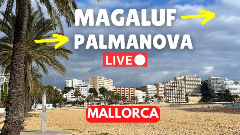 🔴 LIVE Magaluf to Palmanova, Mallorca (Majorca) | 19 January 2025