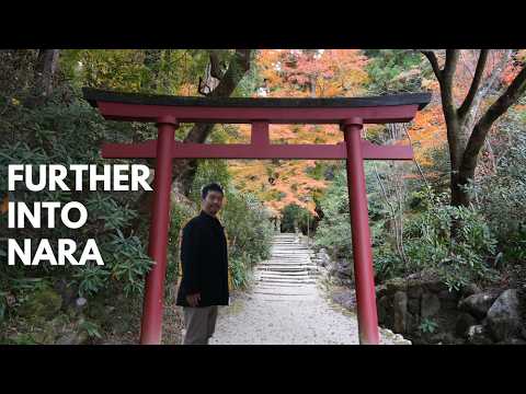 Autumn Getaway to NARA | Exploring Asuka & Yoshino | JAPAN TRAVEL VLOG【The Old Capital #3】