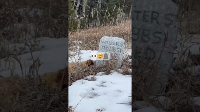 🤯 1800s graves in hidden mountain 🪦 graveyard ‼️🧟‍♂️ travel #short #shorts #shortsfeed #travel